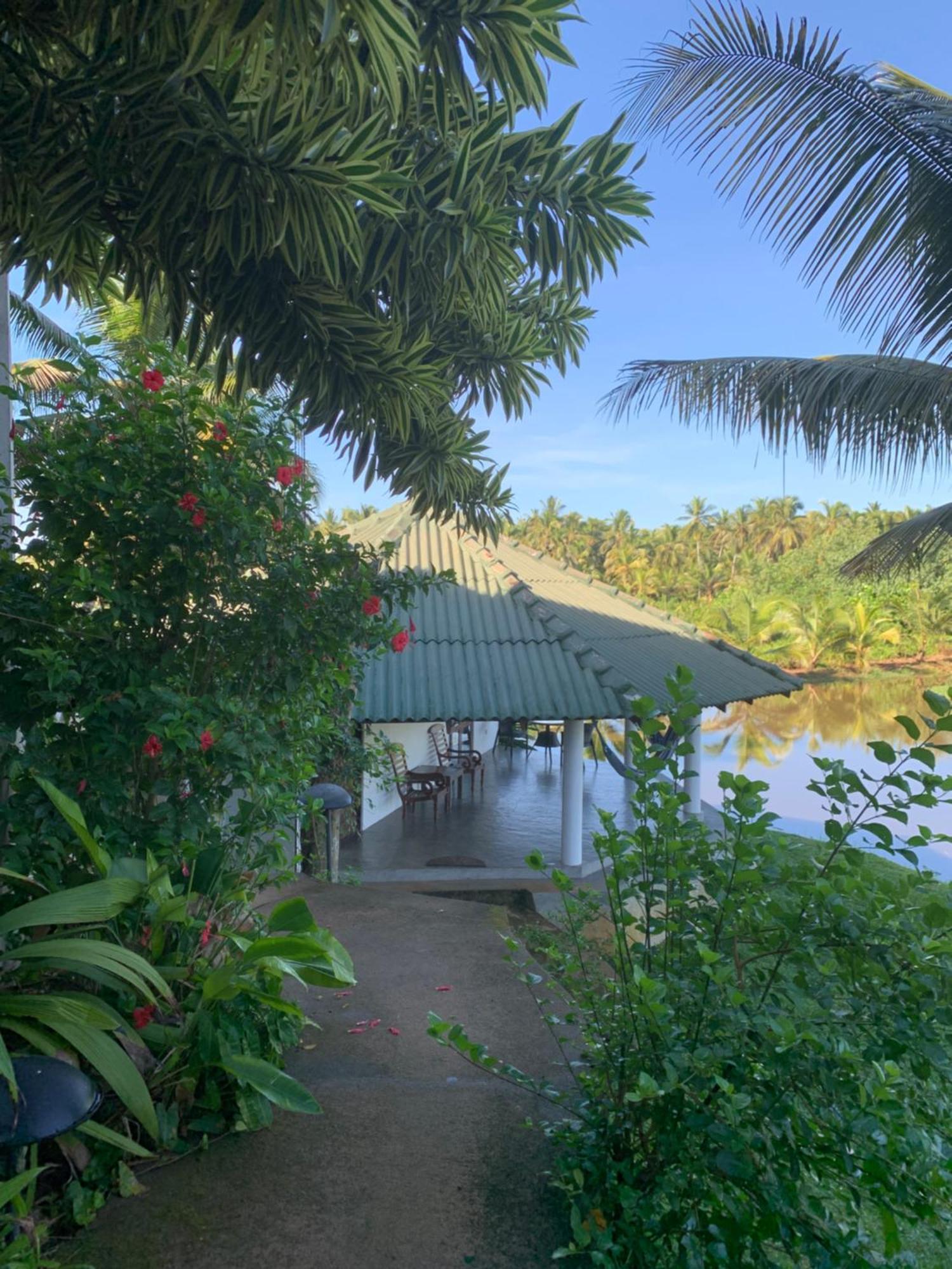 Jungle Heart Cabanas Danwattegoda Extérieur photo