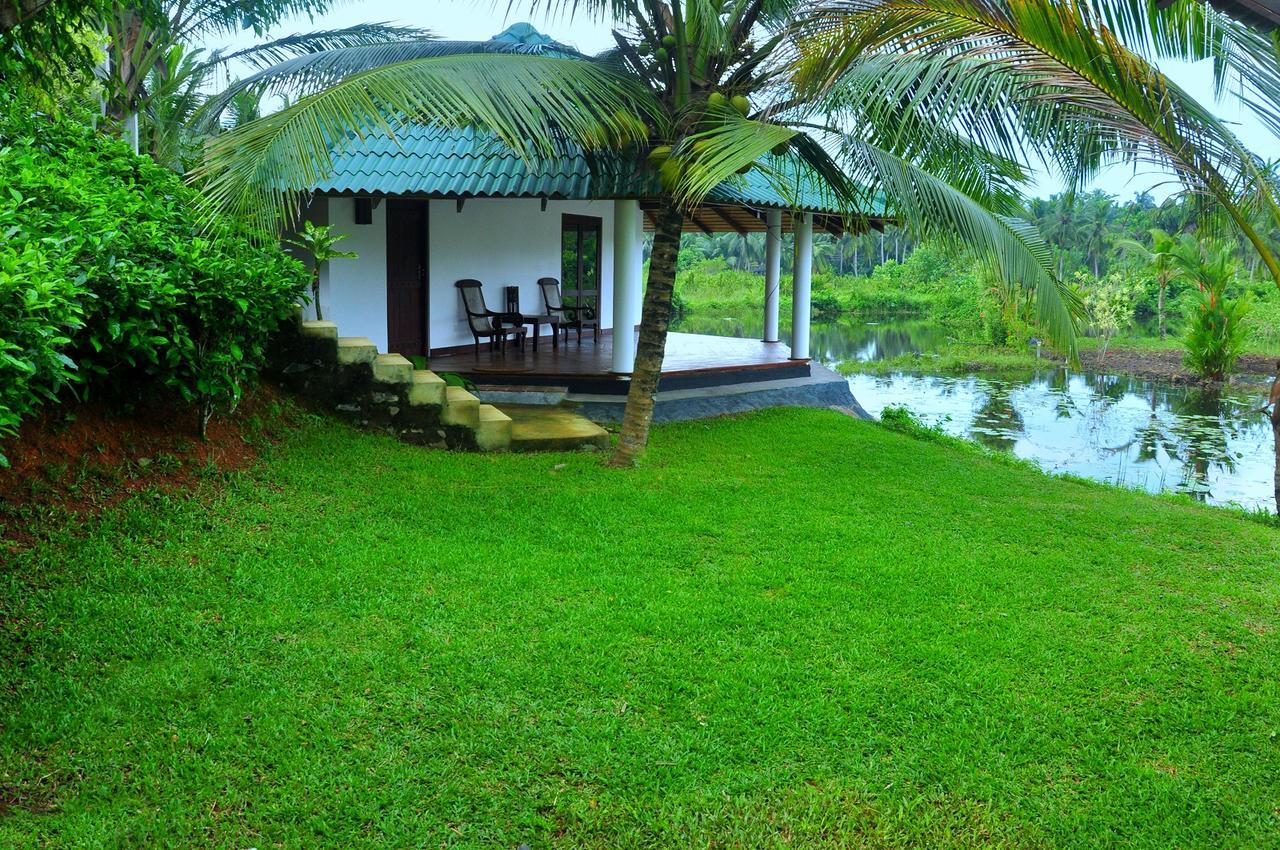 Jungle Heart Cabanas Danwattegoda Extérieur photo