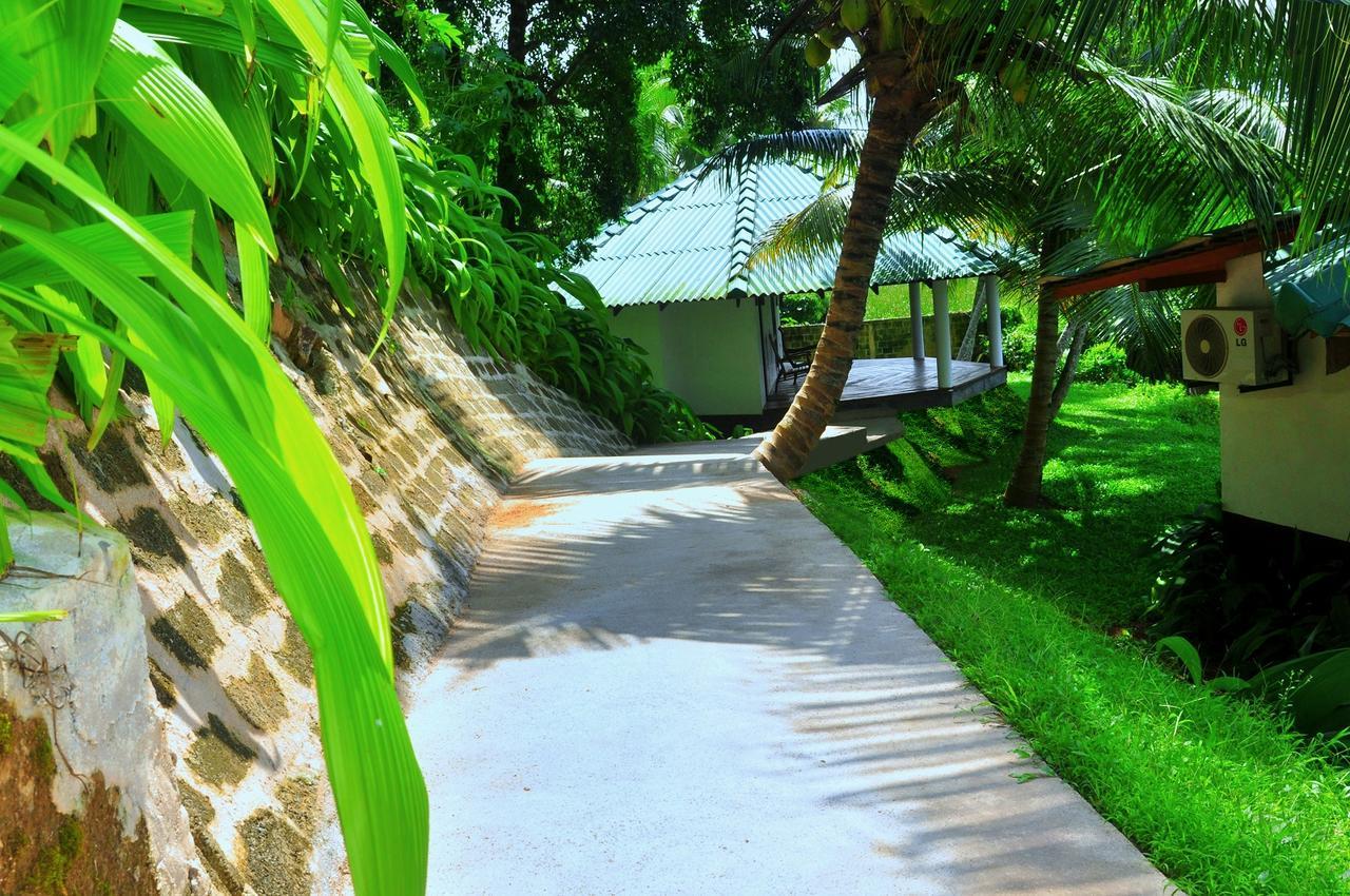 Jungle Heart Cabanas Danwattegoda Extérieur photo