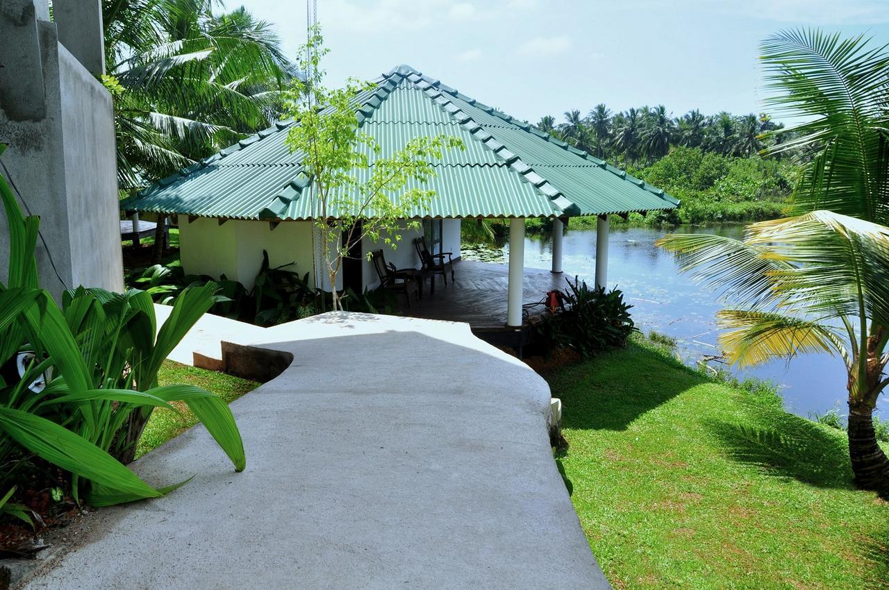 Jungle Heart Cabanas Danwattegoda Extérieur photo
