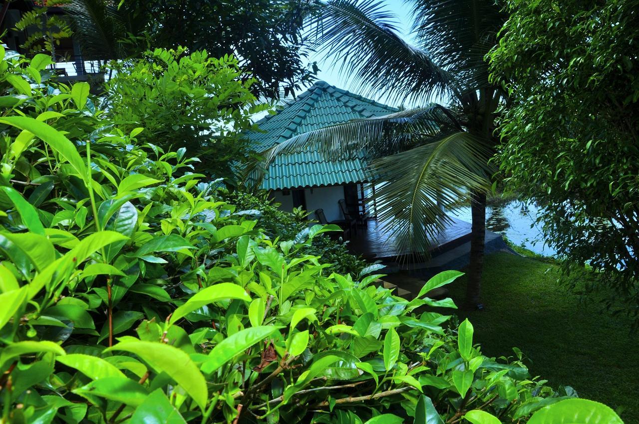Jungle Heart Cabanas Danwattegoda Extérieur photo